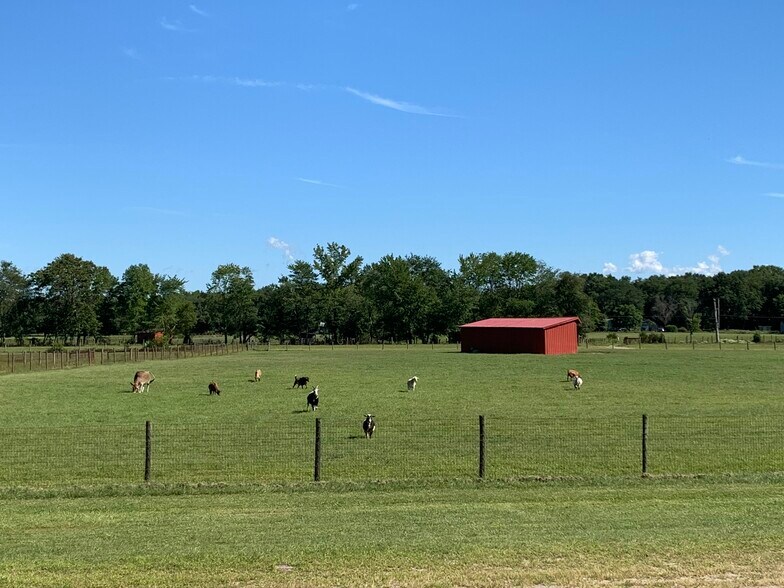 More Photos Of 207 Magnolia Rd, Pemberton Land For Sale