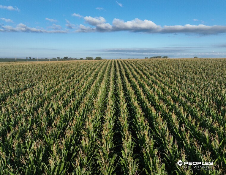 More Photos Of 01 310th Street, Conrad Land For Sale