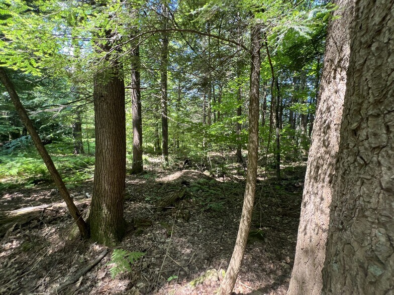 More Photos Of 155 Route 103, Warner Office Residential For Sale