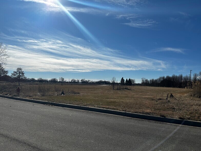 More Photos Of 721 Crimson Ln, Yorkville Land For Sale