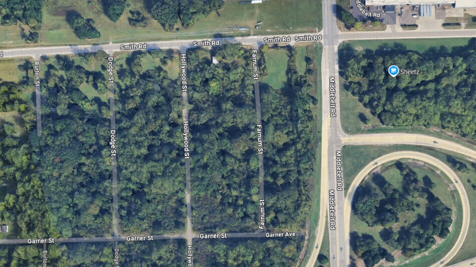 More Photos Of Farnum St, Romulus Land For Sale