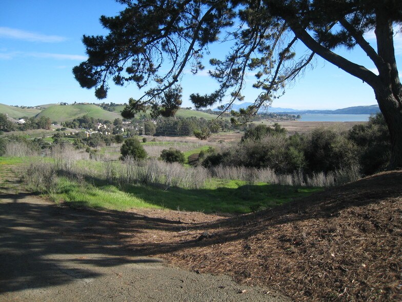 More Photos Of SHADY Ln @ Wildflower Ave., Vallejo Land For Sale