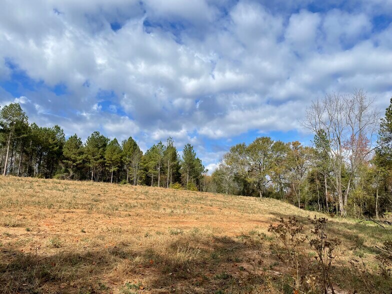 More Photos Of 1775 Brown Rd, Hephzibah Land For Sale
