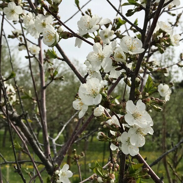 More Photos Of 157 Hergenrider Rd, Bridger Land For Sale