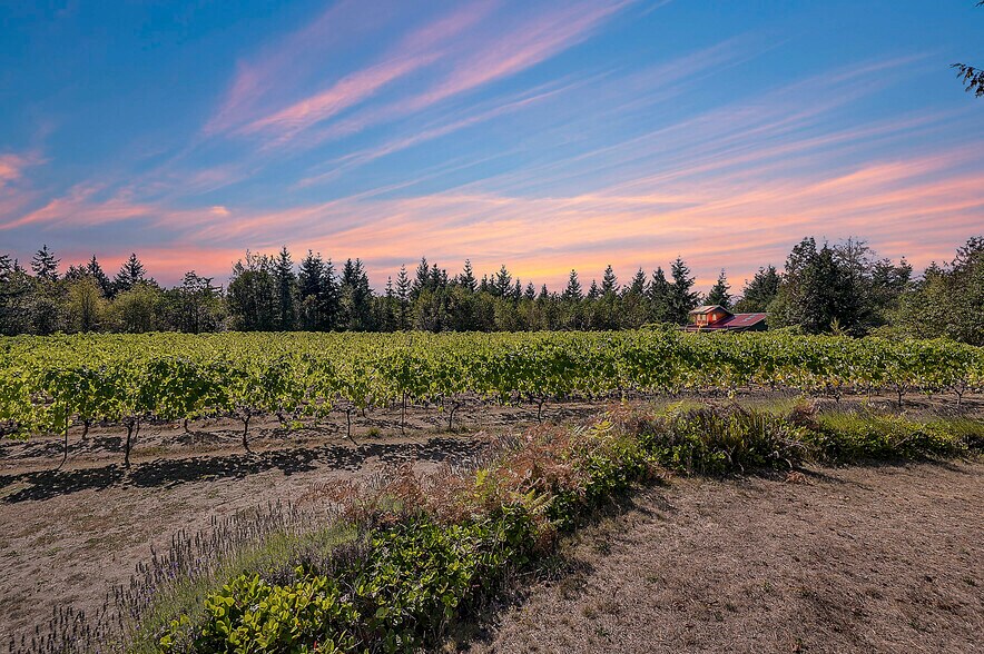 More Photos Of 1673 Woodland Dr, Port Townsend Winery Vineyard For Sale