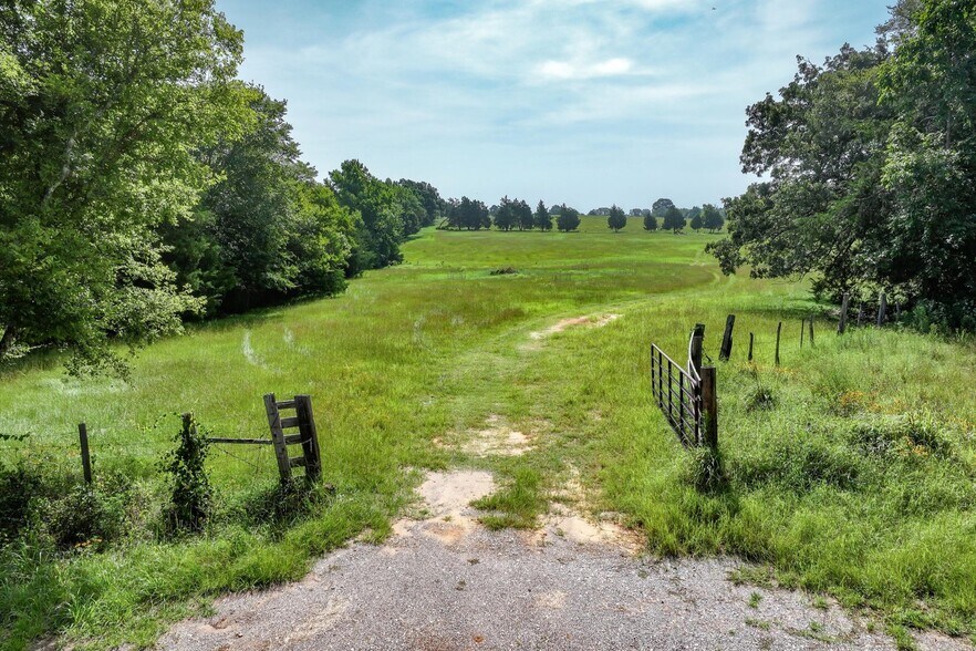 More Photos Of 00 County Road 4501, Jacksonville Land For Sale