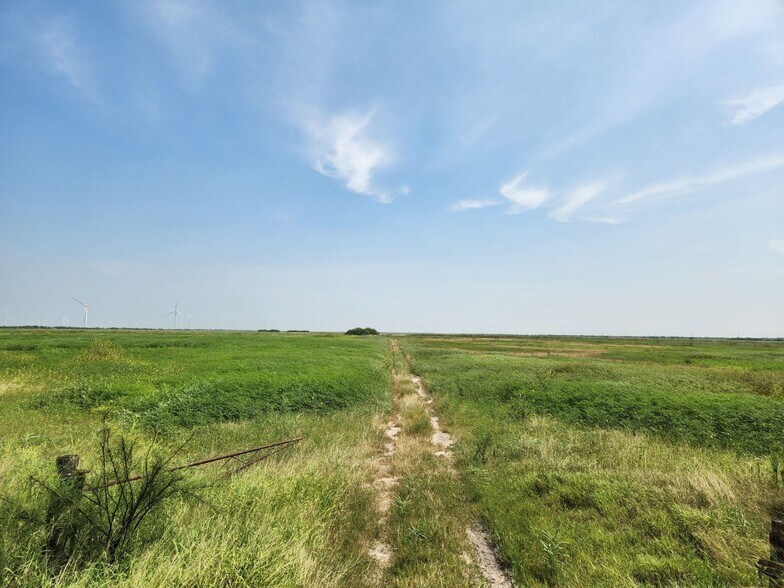 Primary Photo Of TBD FM 106, Rio Hondo Land For Sale