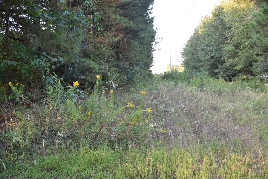 375 County Road 2104, Daingerfield, TX 75638 Schools For Sale