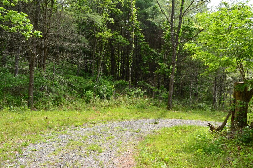 More Photos Of 6421 Highway 91 N, Laurel Bloomery Warehouse For Sale