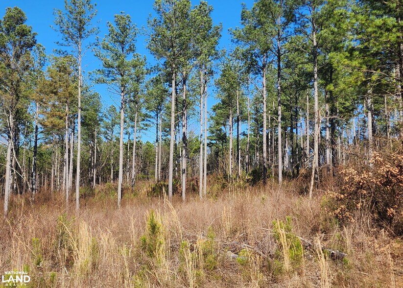 More Photos Of 0 S Sauty Rd, Langston Land For Sale