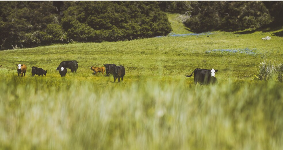 More Photos Of Price Canyon Rd, San Luis Obispo Land For Sale