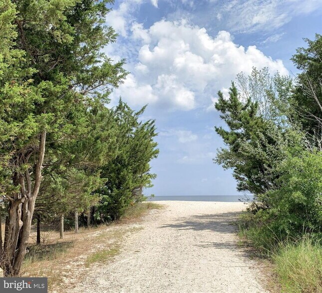 More Photos Of 3520 Main St, Frederica Land For Sale