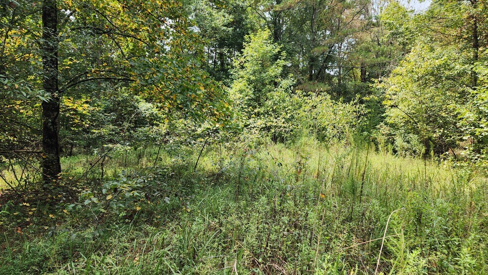 More Photos Of 1661 Friendship Rd, Hoschton Land For Sale