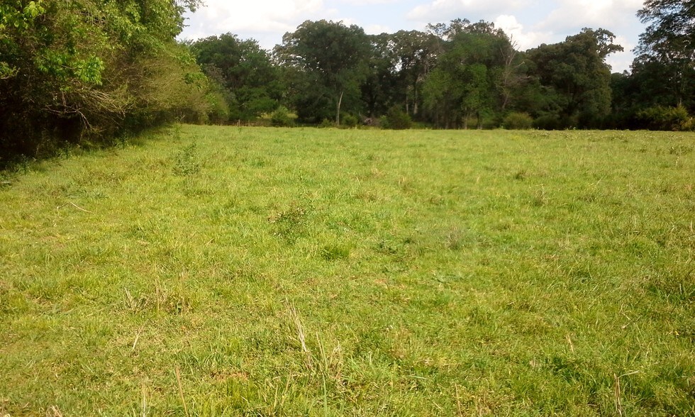 More Photos Of 7011 Hwy 22, Montevallo Land For Sale