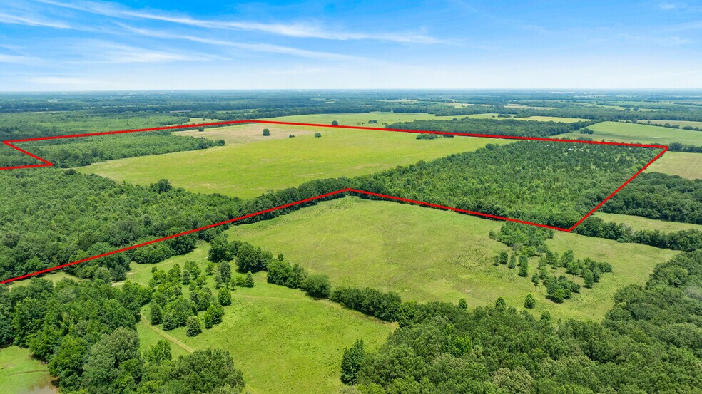 More Photos Of 449 County Road 1357, Clarksville Land For Sale