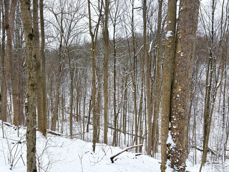 More Photos Of ,  Land For Sale