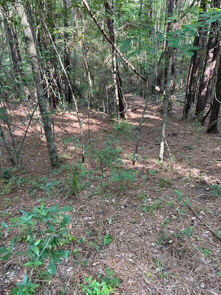 More Photos Of 0 Hwy 190 E, Huntsville Land For Sale