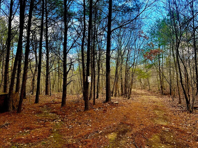 More Photos Of 0 Cherokee Hills Drive, Rydal Land For Sale