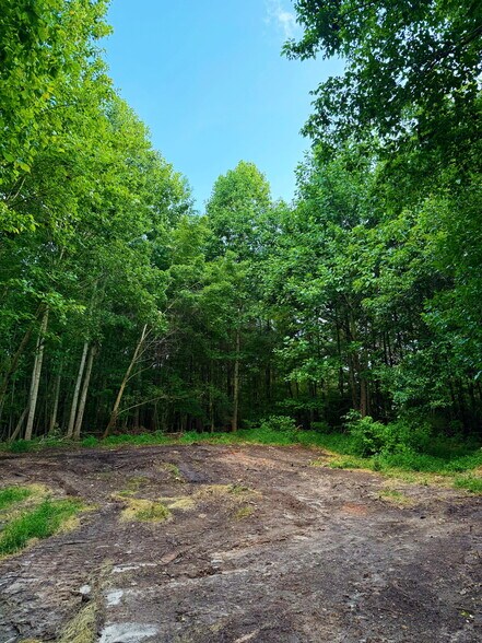 More Photos Of 00 221 Highway South Hwy, Laurens Land For Sale