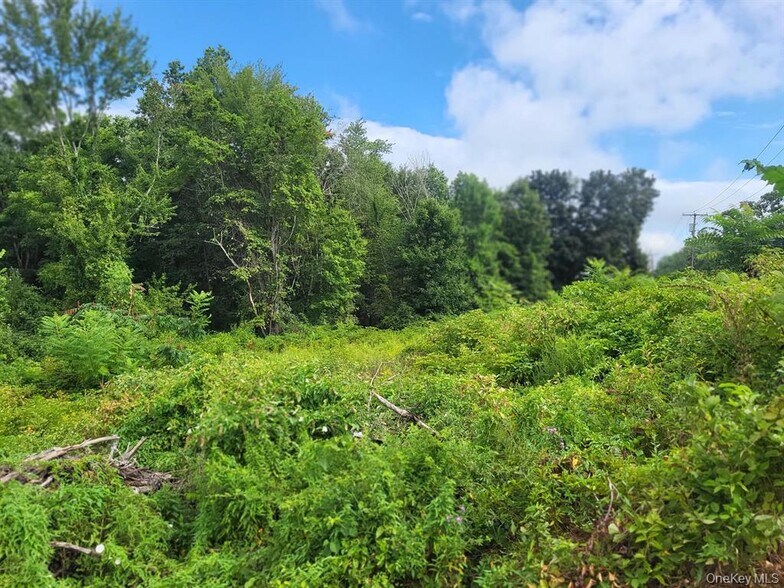 More Photos Of 2530 NY-208, Walden Land For Sale