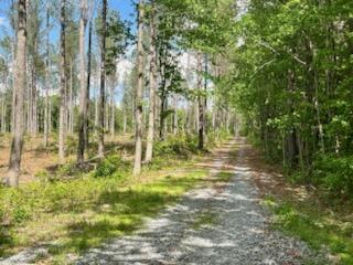 More Photos Of TBD Courthouse Rd, Sutherland Land For Sale