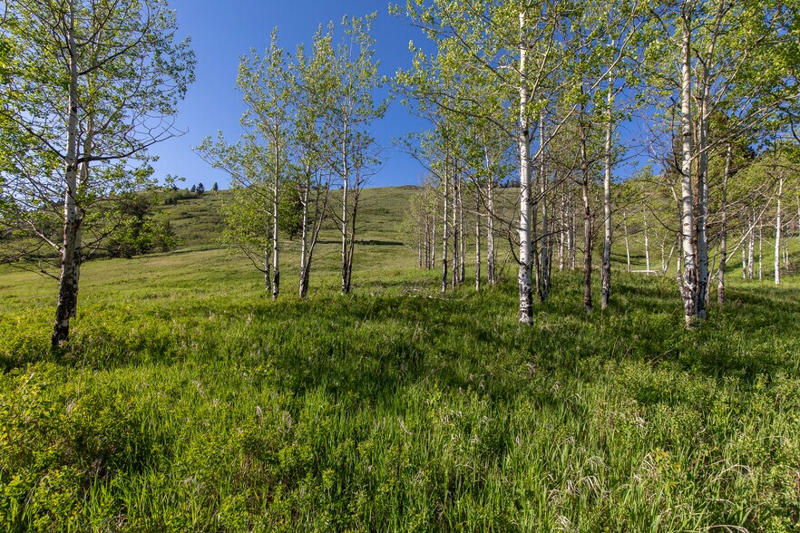More Photos Of 3 Trail Creek Rd, Bozeman Land For Sale