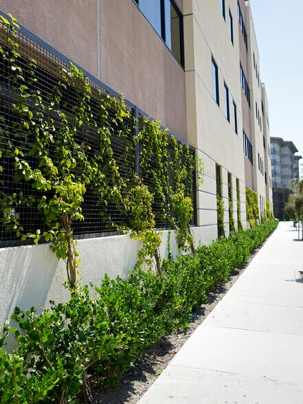 More Photos Of 1513 S Grand Ave, Los Angeles Medical For Lease