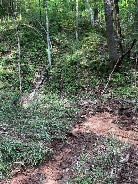 More Photos Of N3953 Bear Pen Rd, Arkansaw Land For Sale