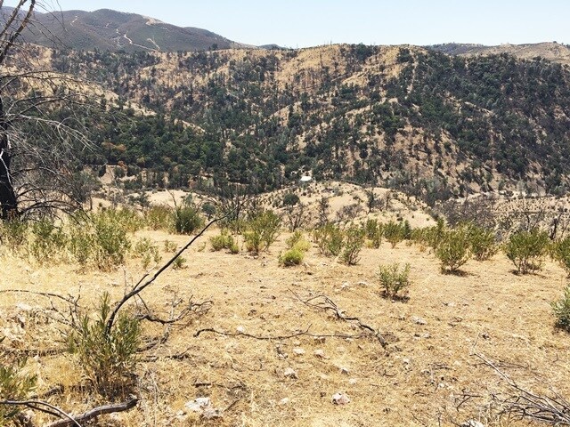 More Photos Of 13200 Del Puerto Canyon Rd, Livermore Land For Sale