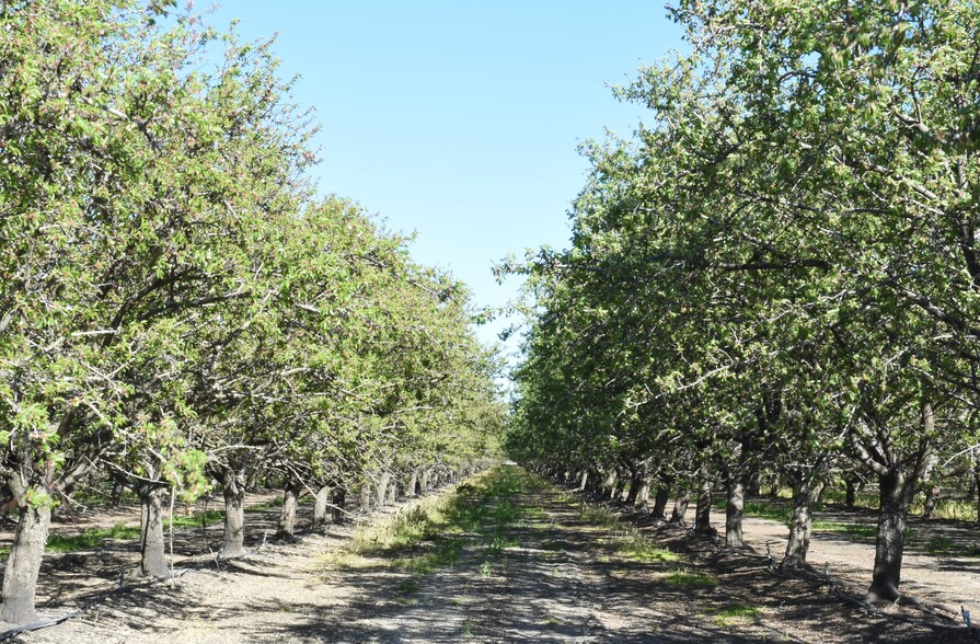 Primary Photo Of 23820 W Adams Ave, San Joaquin Land For Sale