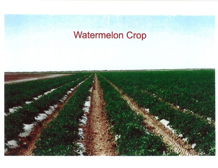 More Photos Of Hwy 111, Niland Land For Sale