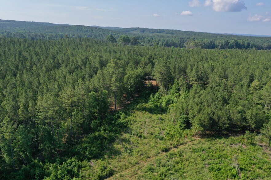 More Photos Of 00 Everett Chappell Rd, Mount Gilead Land For Sale