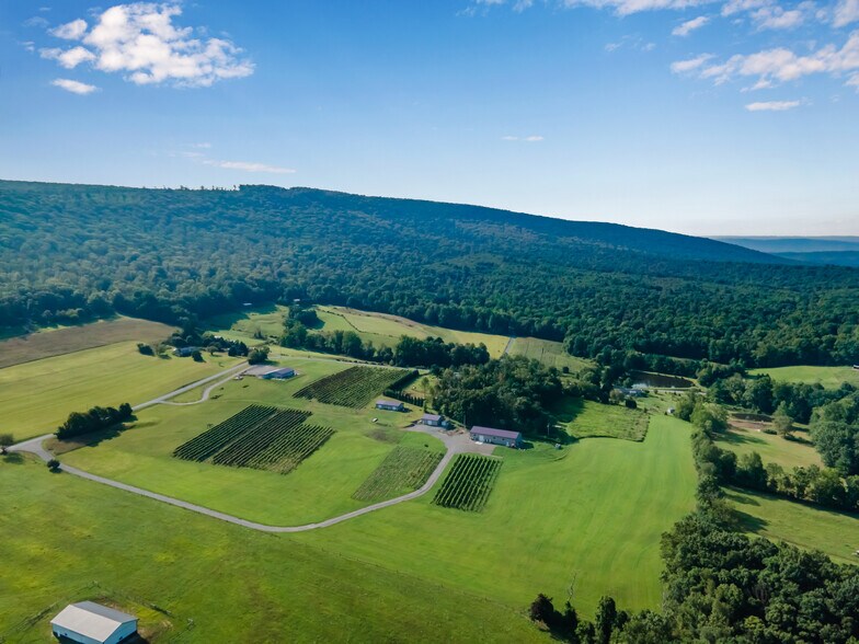 More Photos Of 596 Harman Rd, Halifax Winery Vineyard For Sale