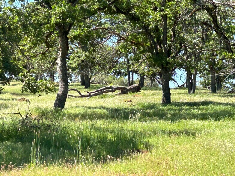 More Photos Of 5908 Foothill Rd, Central Point Land For Sale