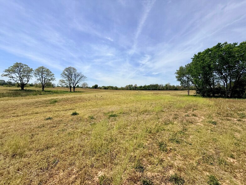 More Photos Of 4132 KY Highway 36 W, Cynthiana Land For Sale