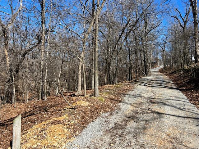 More Photos Of 450630 S Old Mill Road, Afton Trailer Camper Park For Sale