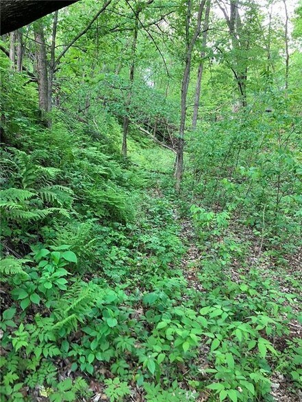 More Photos Of N3953 Bear Pen Rd, Arkansaw Land For Sale