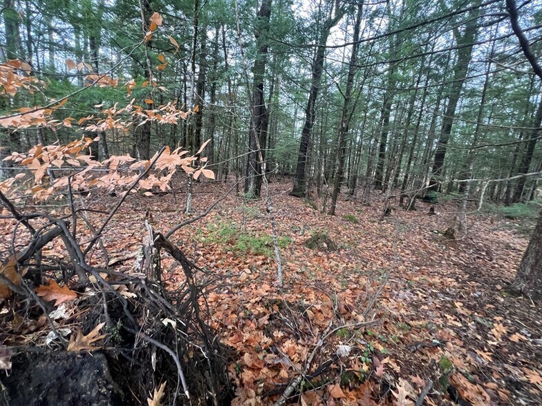 More Photos Of NH Route 25 @ Storage Road, Effingham Land For Sale