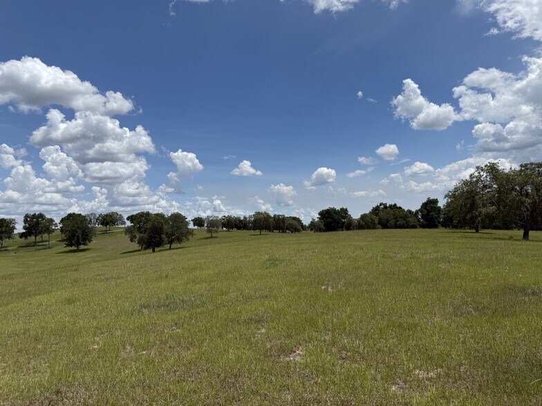 More Photos Of Highway 328 West, Dunnellon Land For Sale