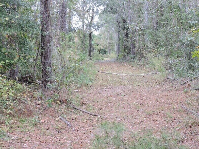 More Photos Of 3750A County Road 315A, Green Cove Springs Land For Sale