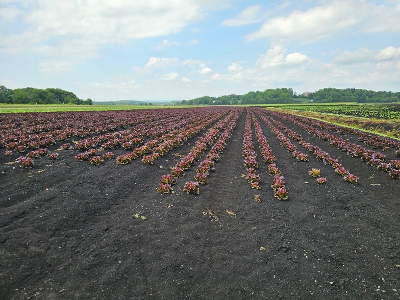 More Photos Of 73 Little York Rd, Warwick Garden Center For Sale