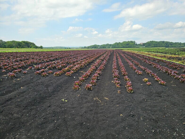 More Photos Of 73 Little York Rd, Warwick Garden Center For Sale