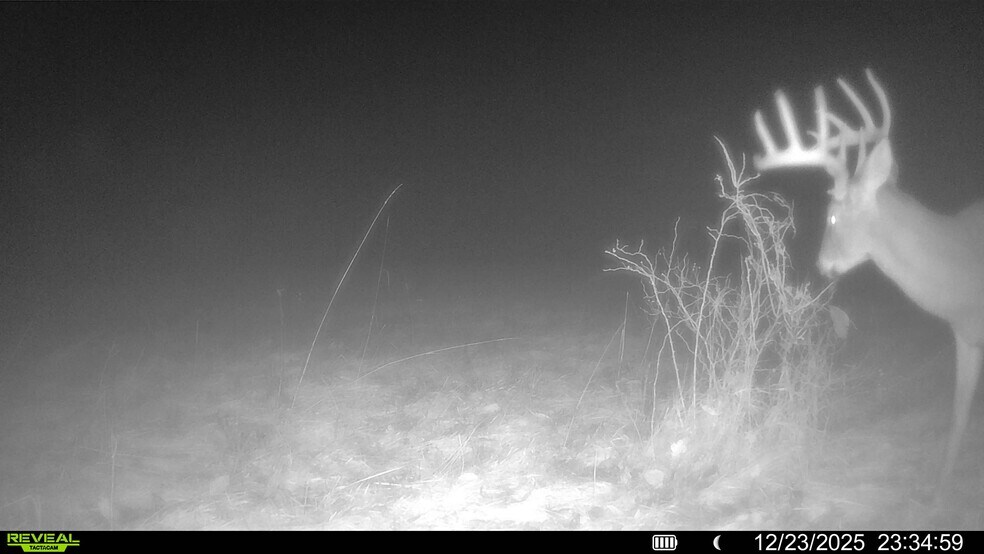 More Photos Of Pike 49 (12+/- Acres), Frankford Land For Sale