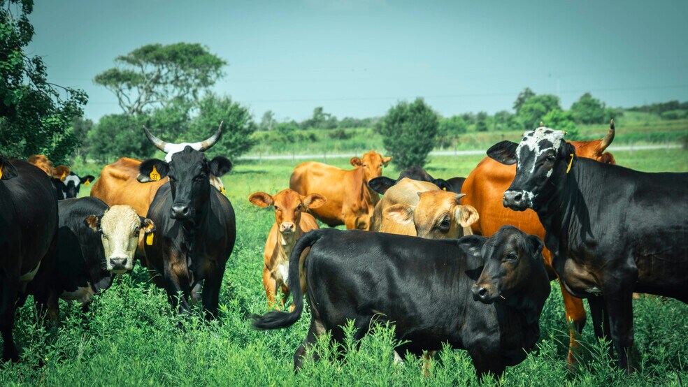 More Photos Of 20701 Big Hill Rd, Beaumont Land For Sale