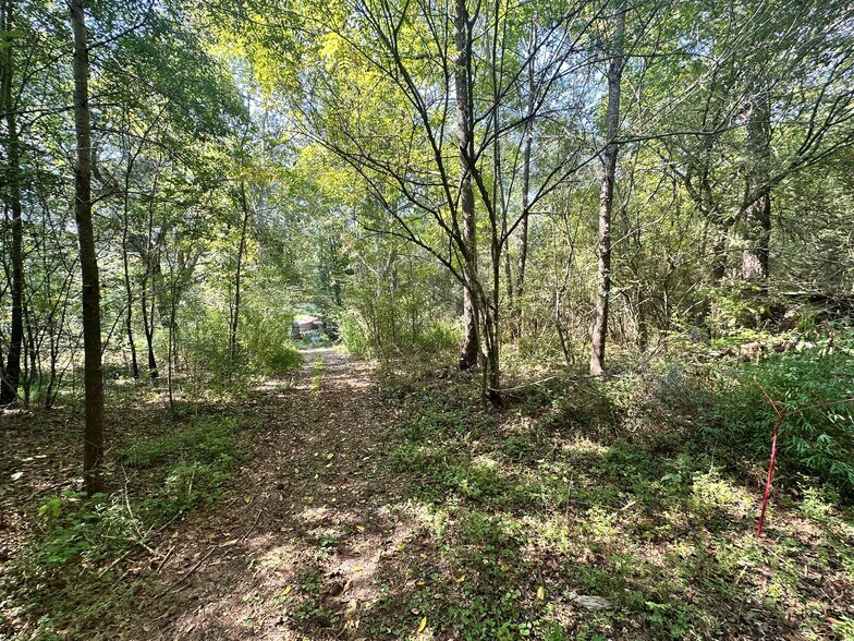 More Photos Of 7330 Frix Rd, Cumming Land For Sale