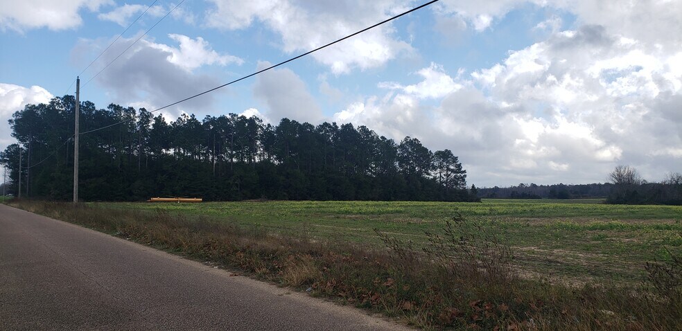 More Photos Of 0 Jesse Allen, Milton Land For Sale