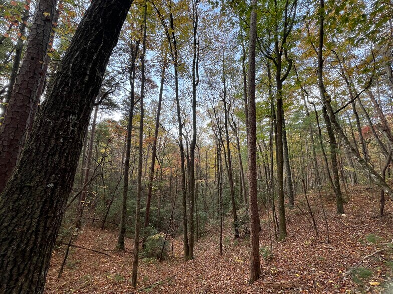 More Photos Of Whitecliff Drive, Ellijay Land For Sale