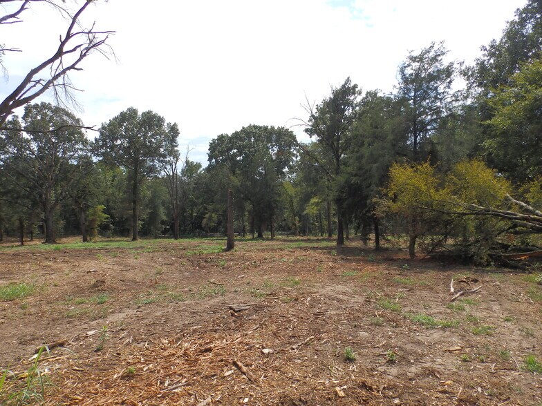 More Photos Of 16393 Highway 31, Tyler Land For Sale
