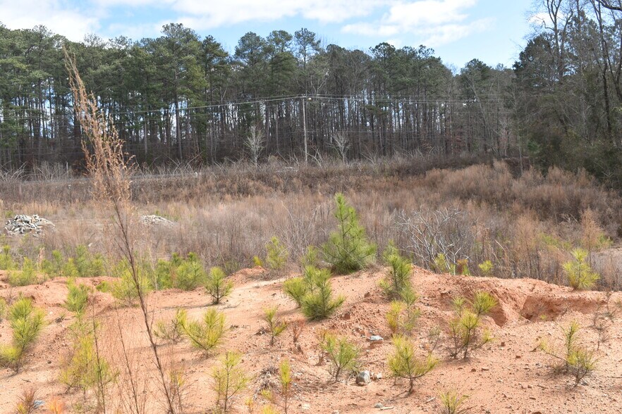 More Photos Of 3079 Lenora Church Rd, Snellville Land For Sale