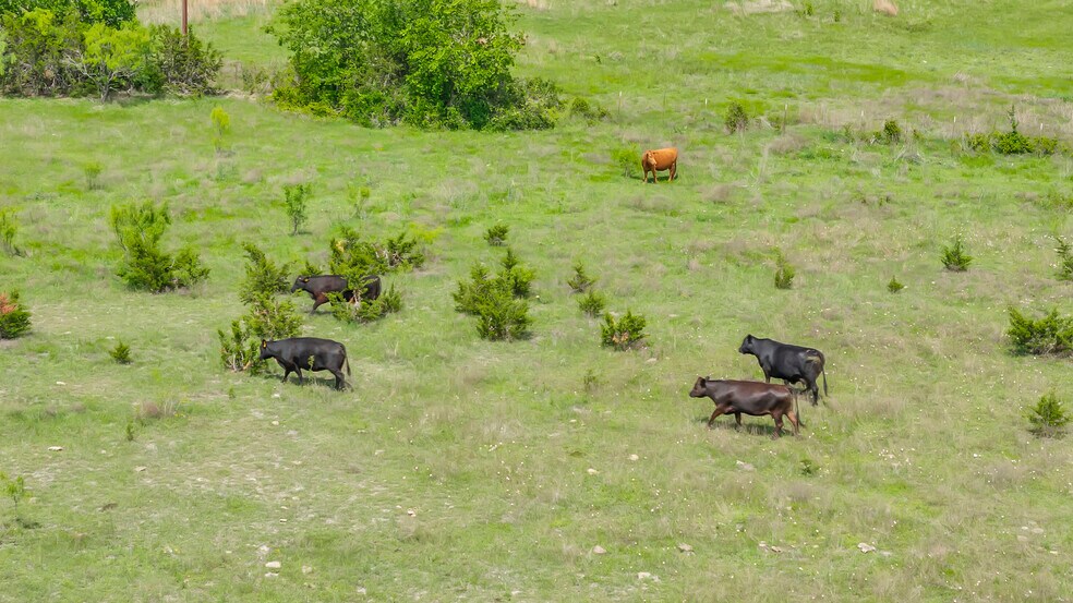 More Photos Of 8200 County Road 200, Burnet Land For Sale